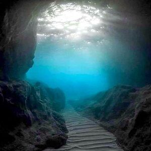 Meet your Posher, Veonist